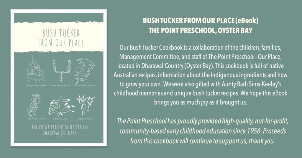 Bush Tucker From Our Place - ebook - cover & blurb